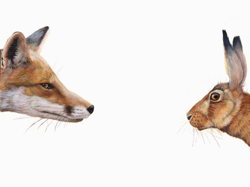 Hazel Mountford - Top Predator: Fox & Hare
