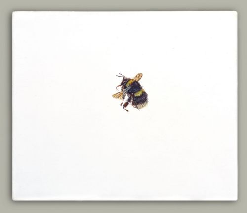 Hazel Mountford - One Bee Left - Broken Belted Bumblebee