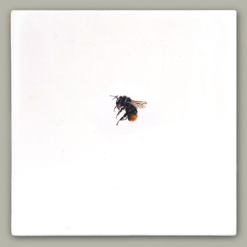 Hazel Mountford - One Bee Left: Red-tailed Bumblebee