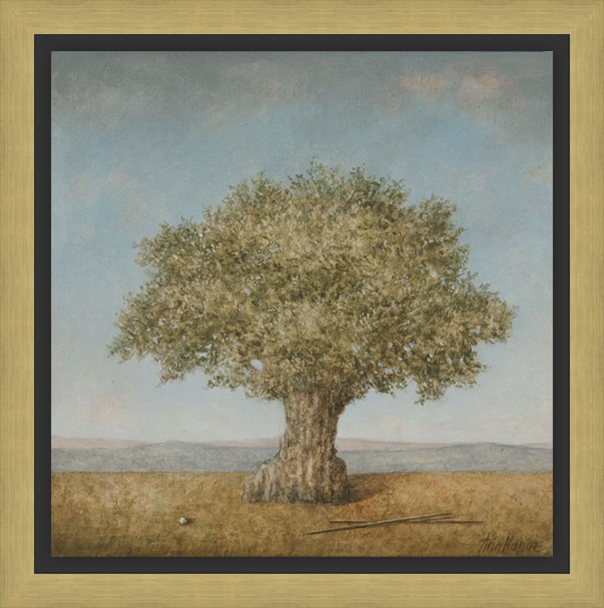 The Old Olive Tree by Ana  Kapor