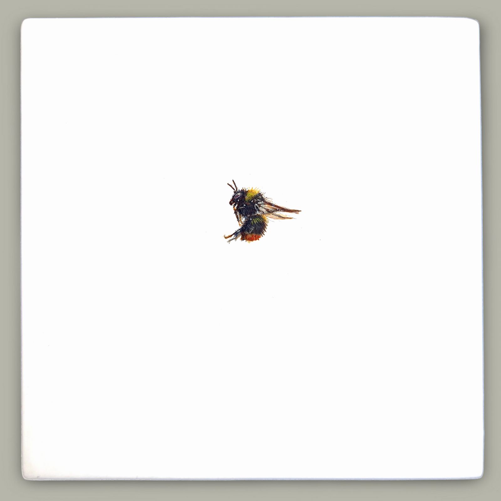 One Bee Left - Early Bumblebee by Hazel Mountford