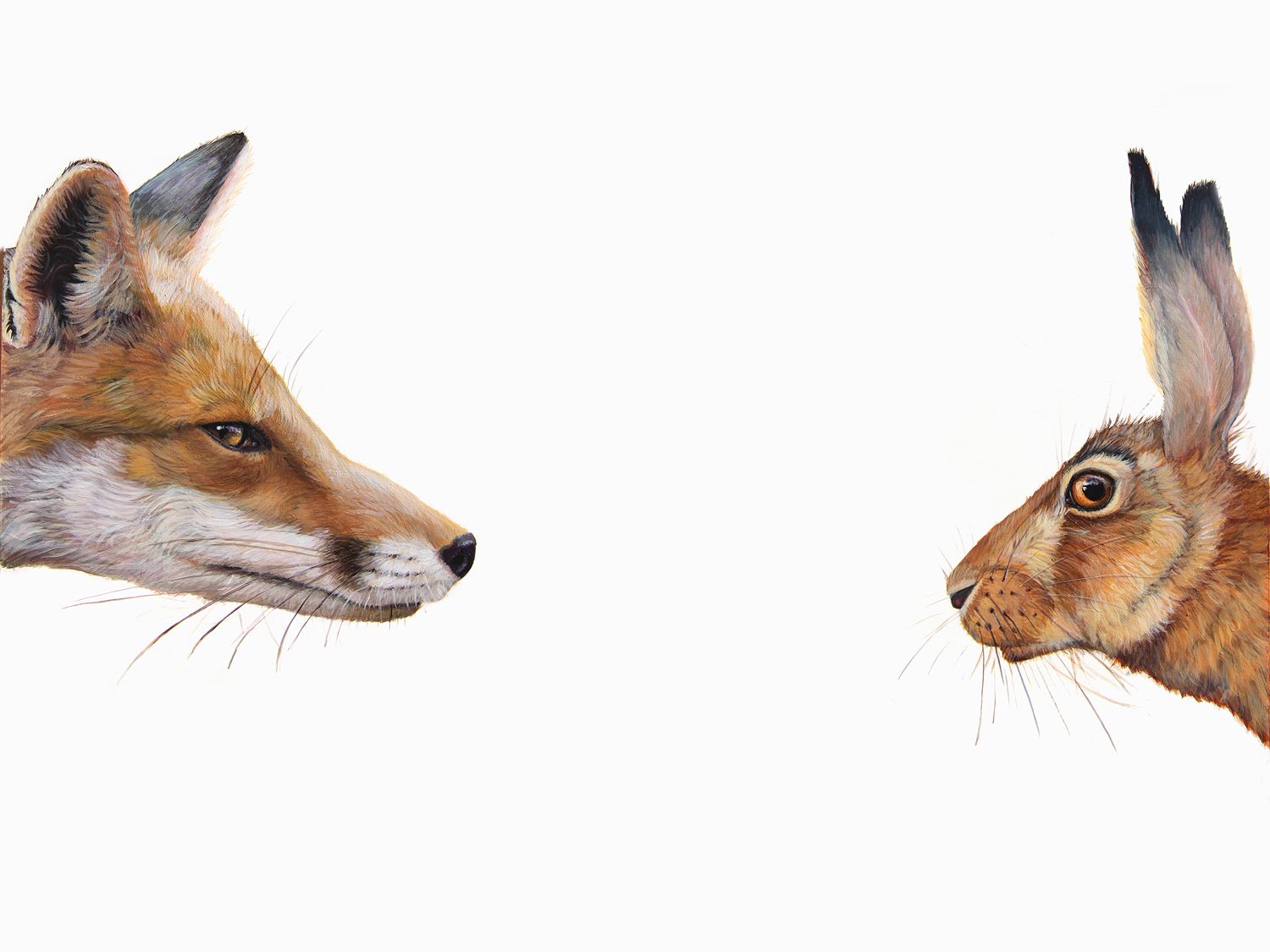 Top Predator: Fox & Hare by Hazel Mountford
