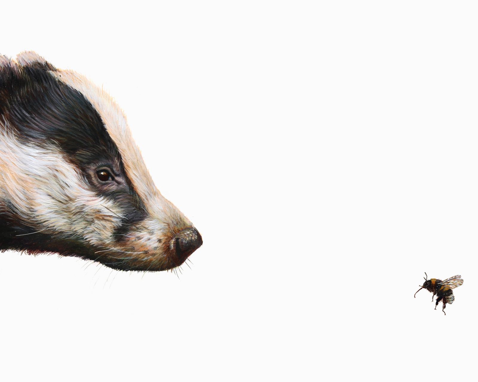 Top Predator: Badger & Bee by Hazel Mountford