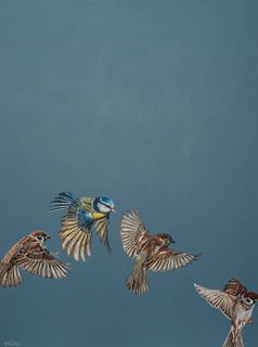 Flutter of Wings by Natalie Toplass