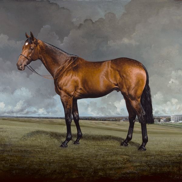 Equine Portrait by Katie O’Sullivan