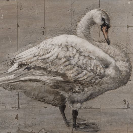 Swanning About I by Katie O’Sullivan