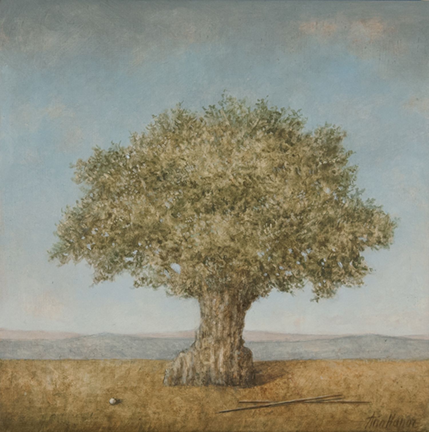 The Old Olive Tree by Ana  Kapor