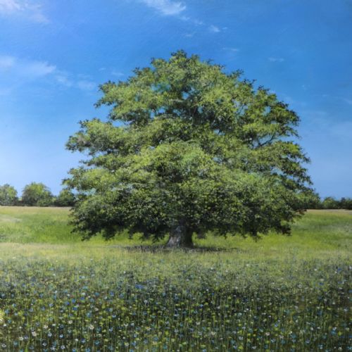 Garry Pereira - And the Ancient Oak and Cornflowers 