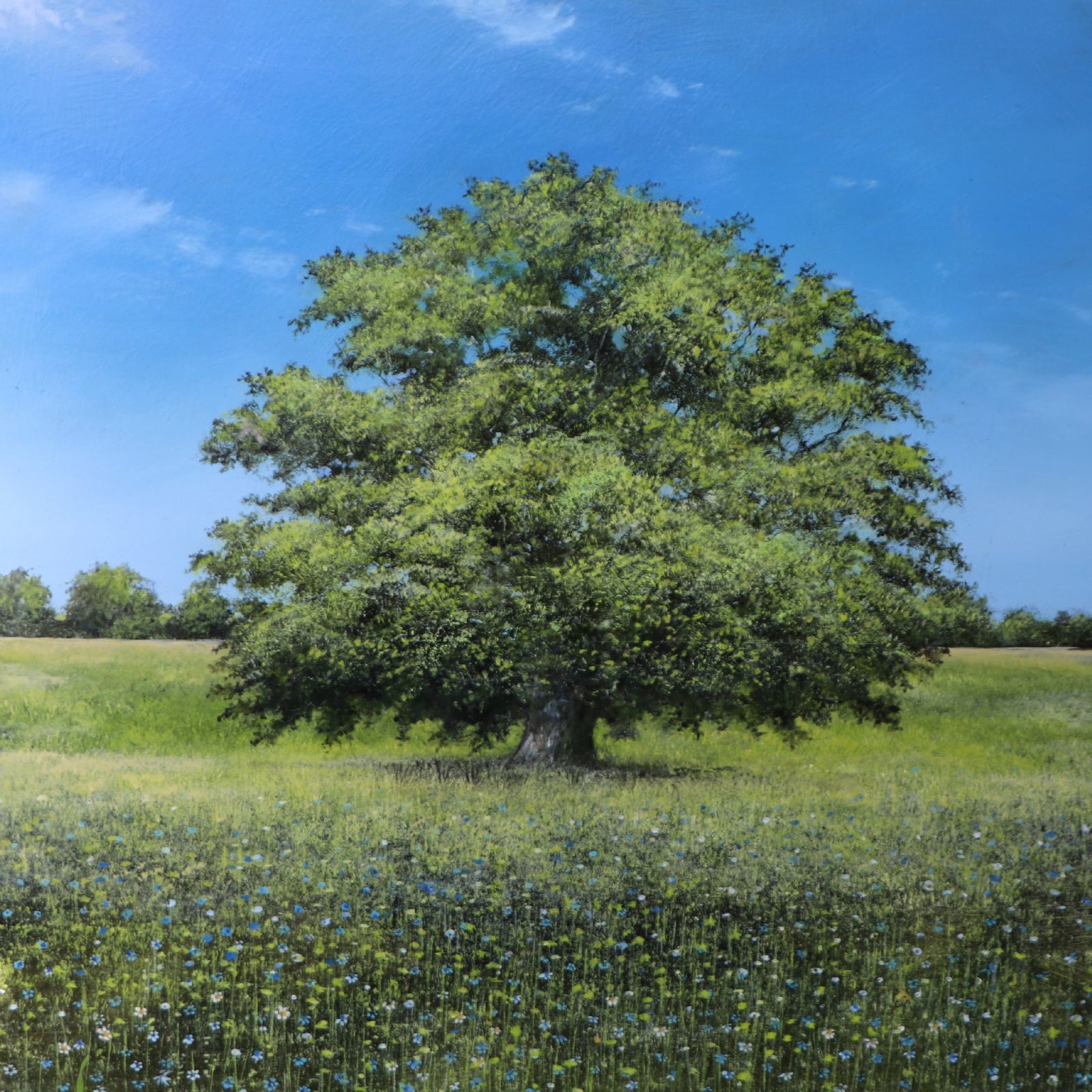 And the Ancient Oak and Cornflowers  by Garry Pereira