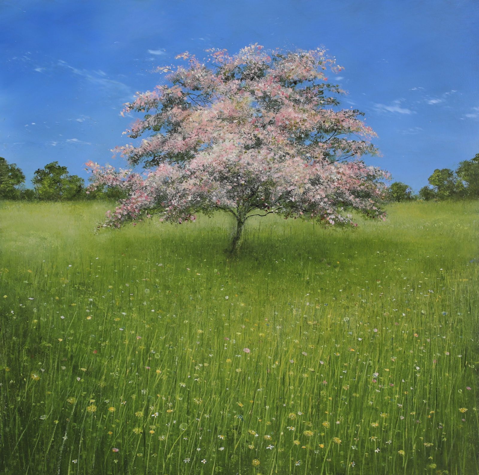 Blossom Dreams by Garry Pereira