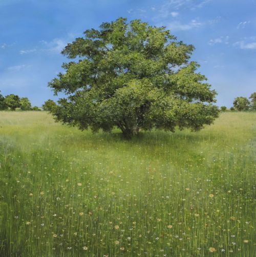 Garry Pereira - Buttercup Dreaming Under the Ancient Oak