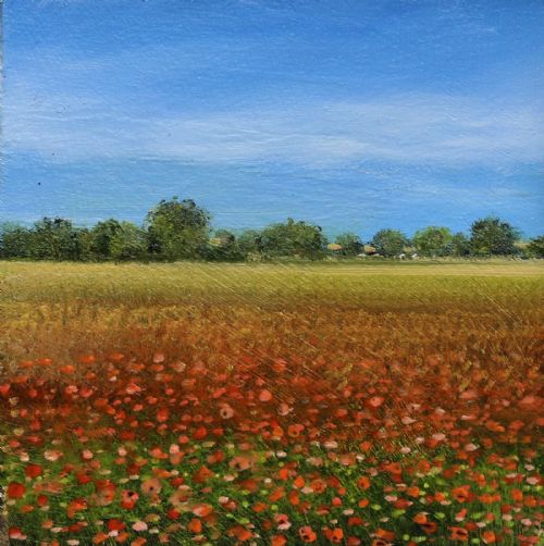 Garry Pereira - Norfolk Poppy Field