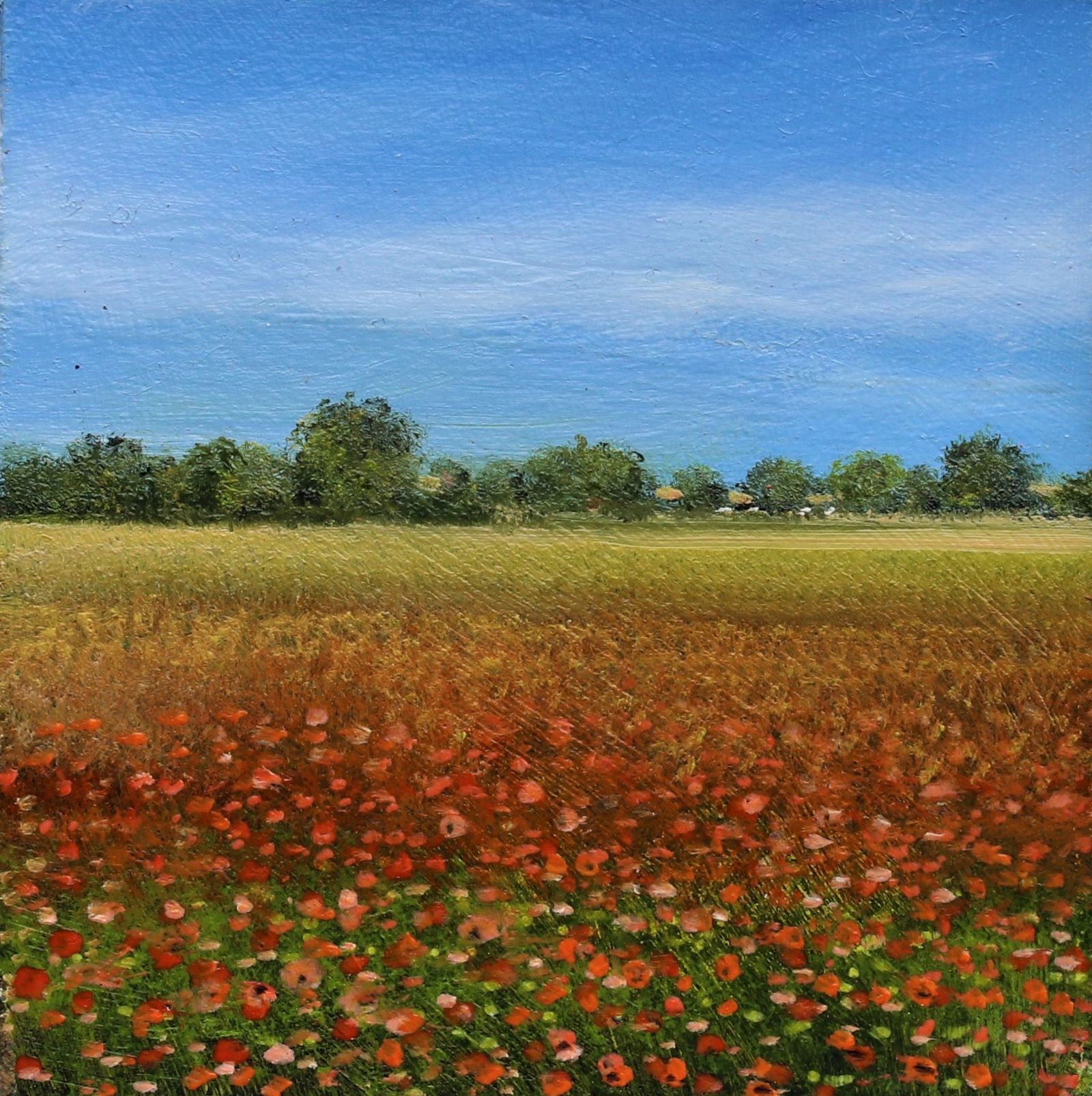 Norfolk Poppy Field by Garry Pereira