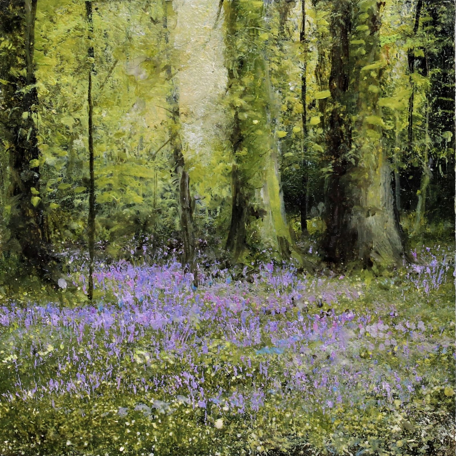 Bluebell Forest by Garry Pereira