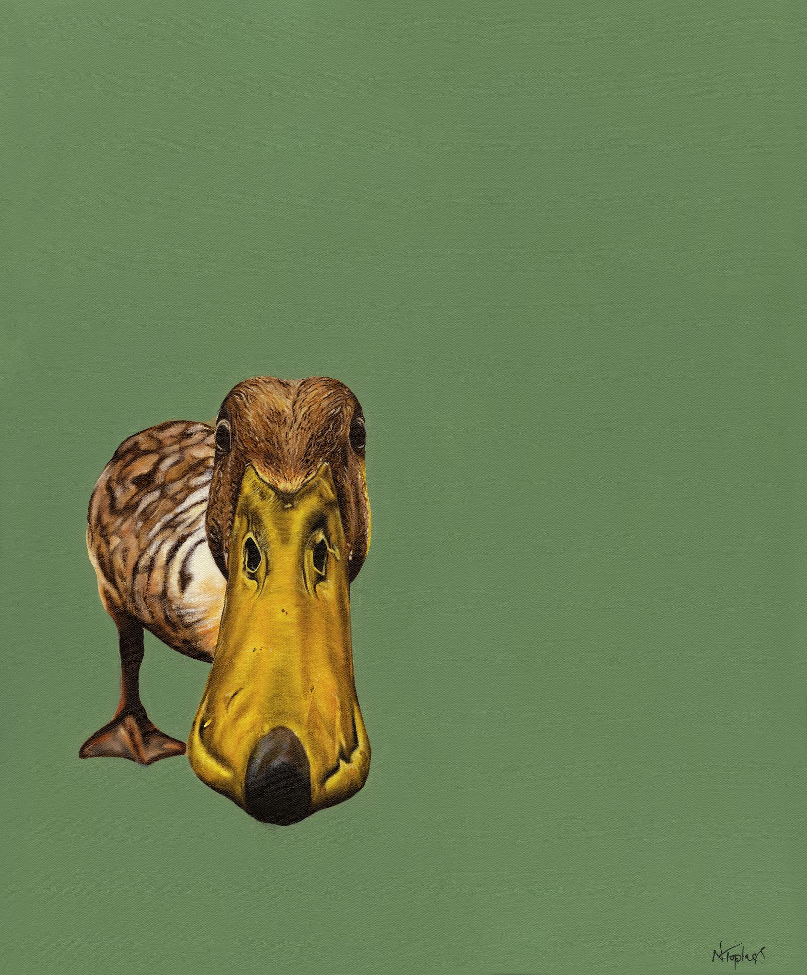 Duckface by Natalie Toplass