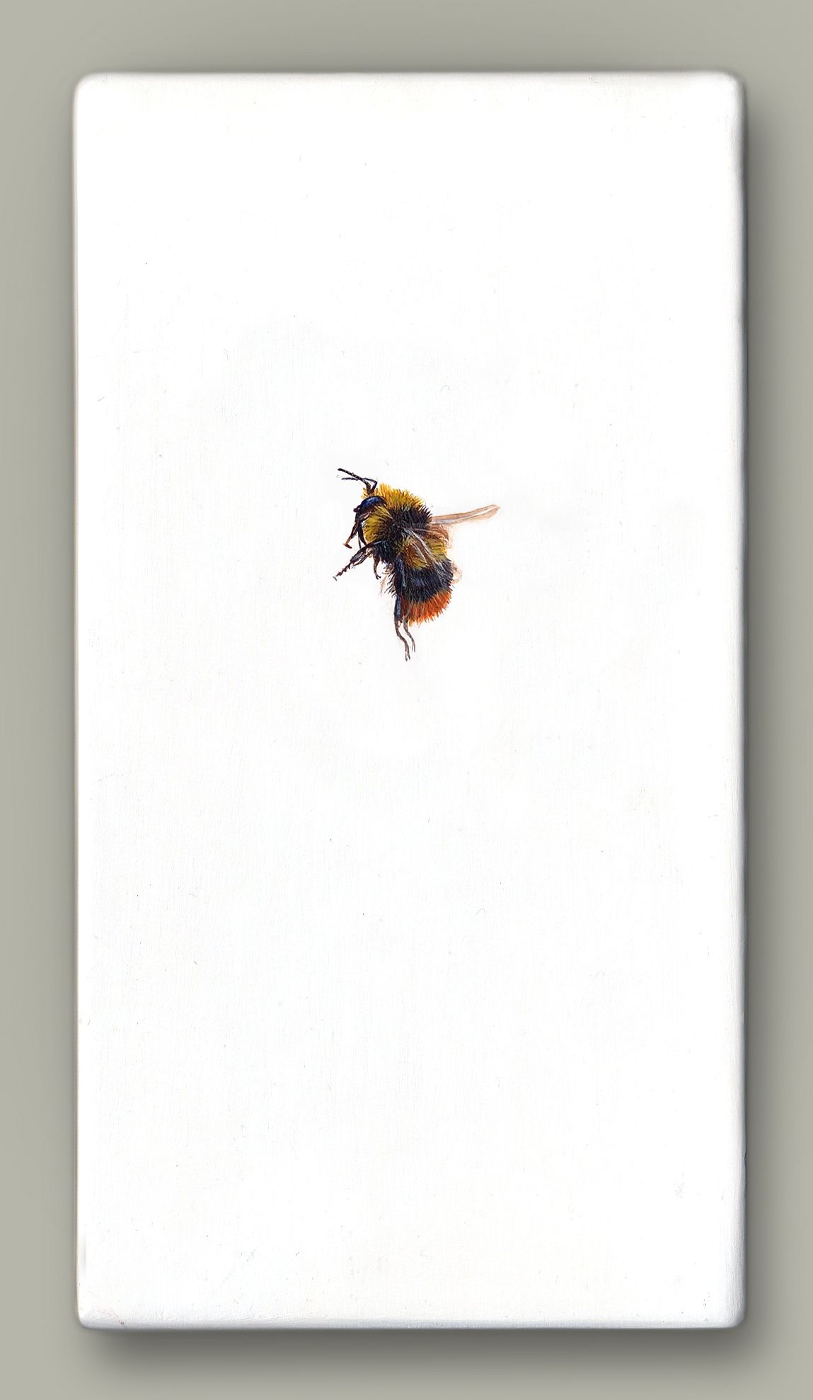 One Bee Left - Early Bumblebee by Hazel Mountford