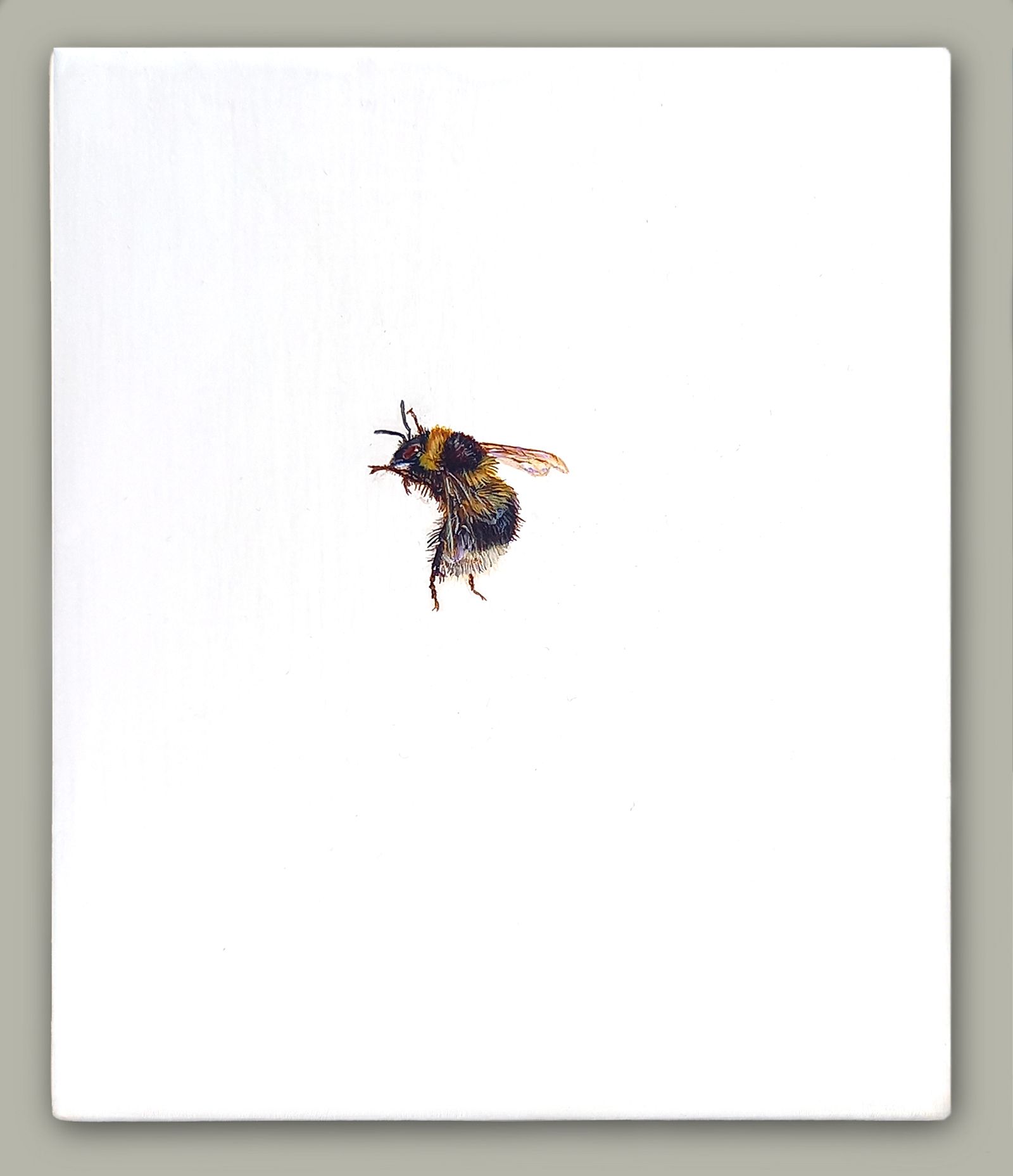 One Bee Left - Garden Bumblebee by Hazel Mountford