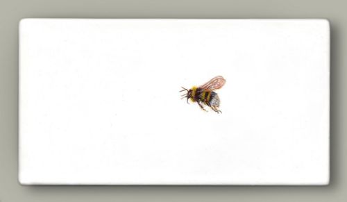 Hazel Mountford - One Bee Left - Heath Bumblebee