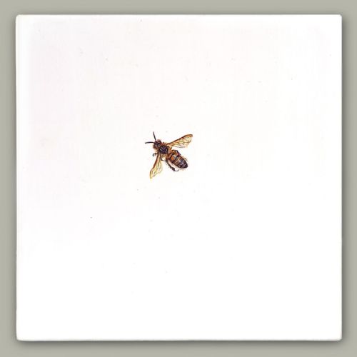 Hazel Mountford - One Bee Left - Honey Bee