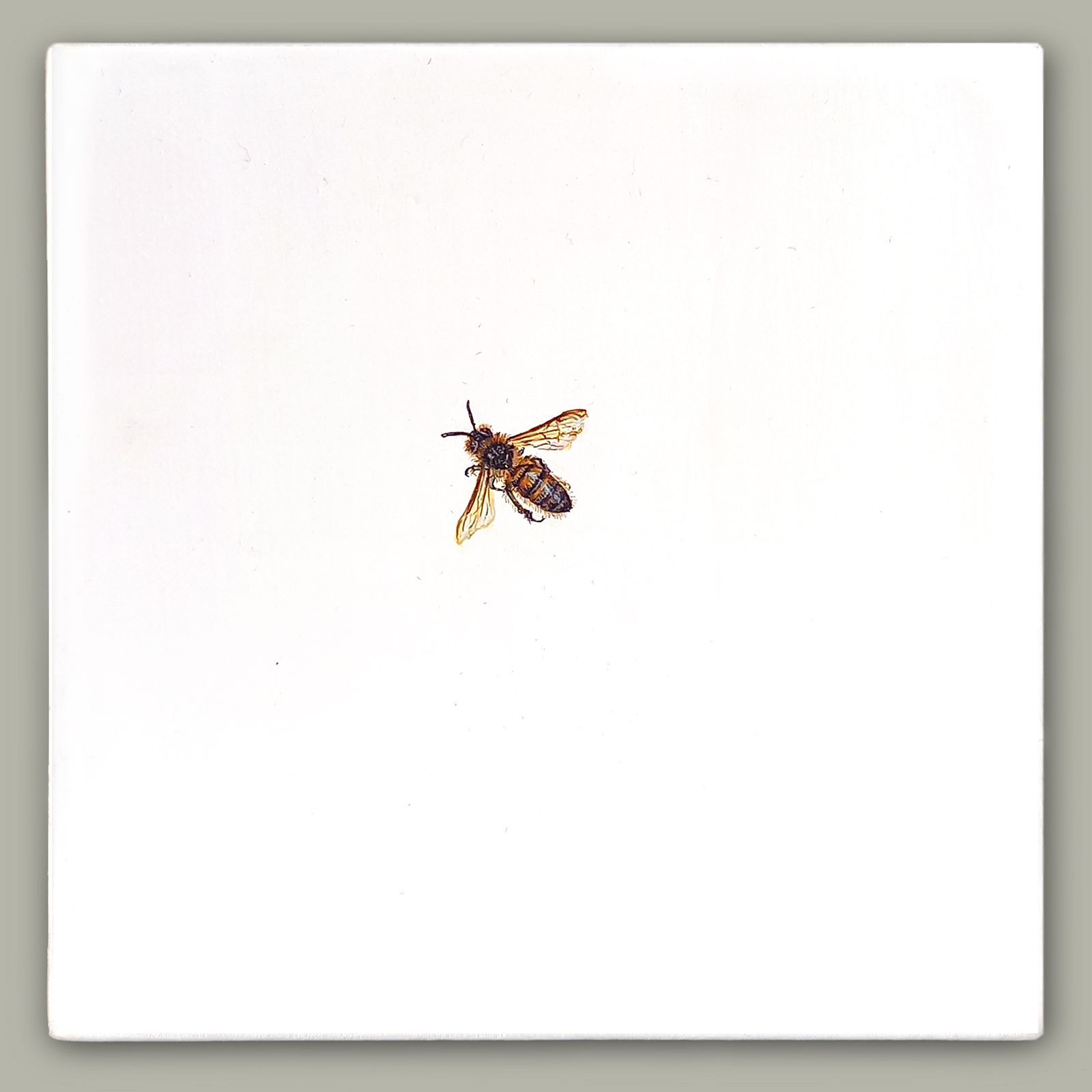 One Bee Left - Honey Bee by Hazel Mountford