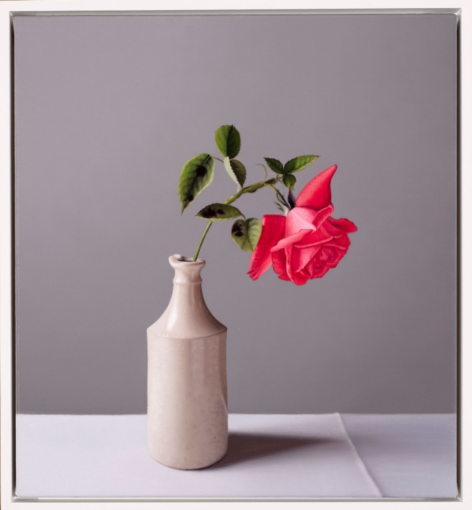 Still Life with Garden Rose and Stoneware Bottle  by Jo Barrett