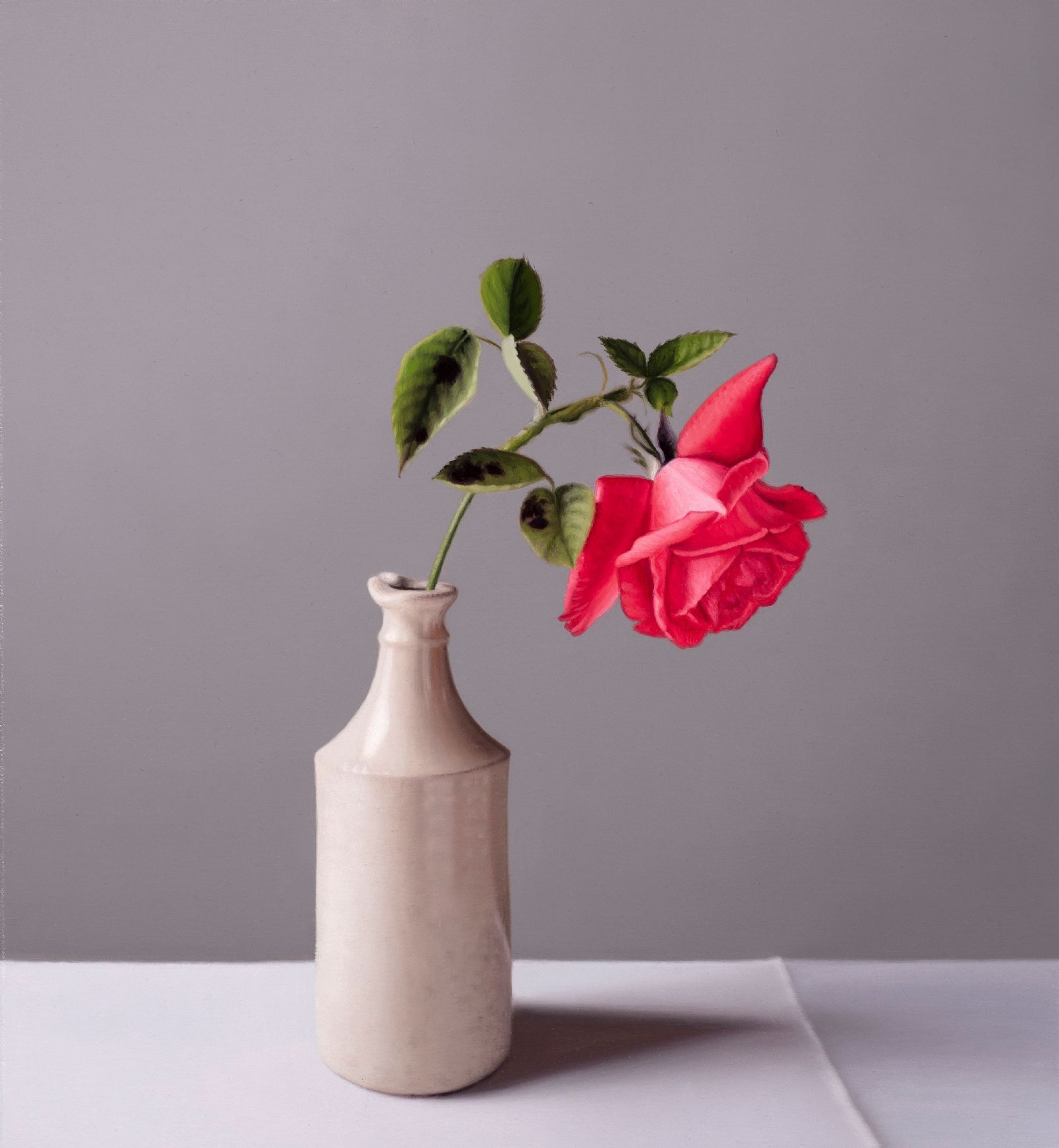 Still Life with Garden Rose and Stoneware Bottle  by Jo Barrett