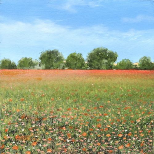 Garry Pereira - Norfolk Poppies