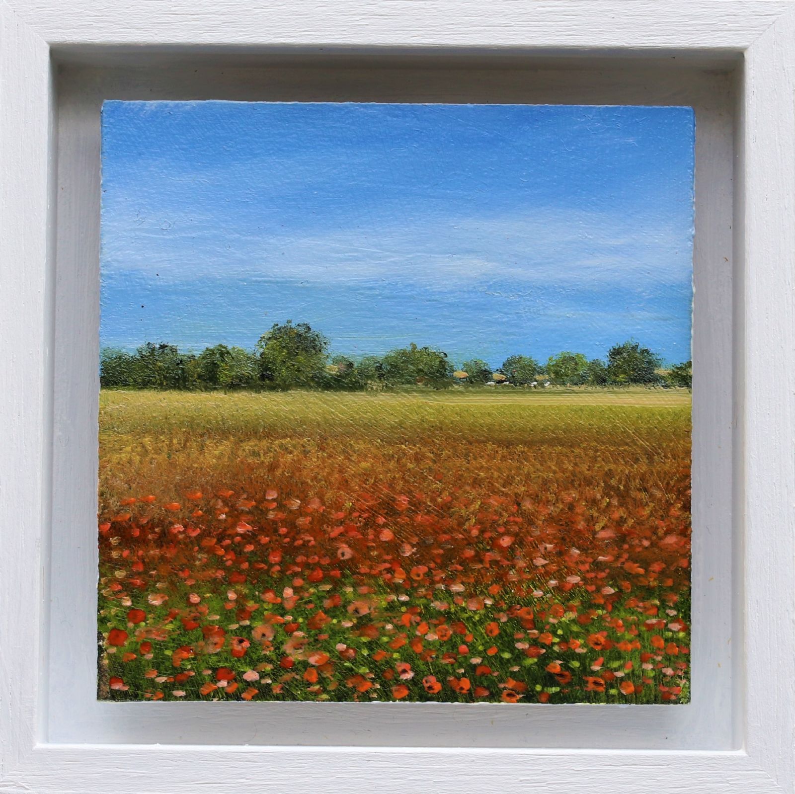 Norfolk Poppy Field by Garry Pereira