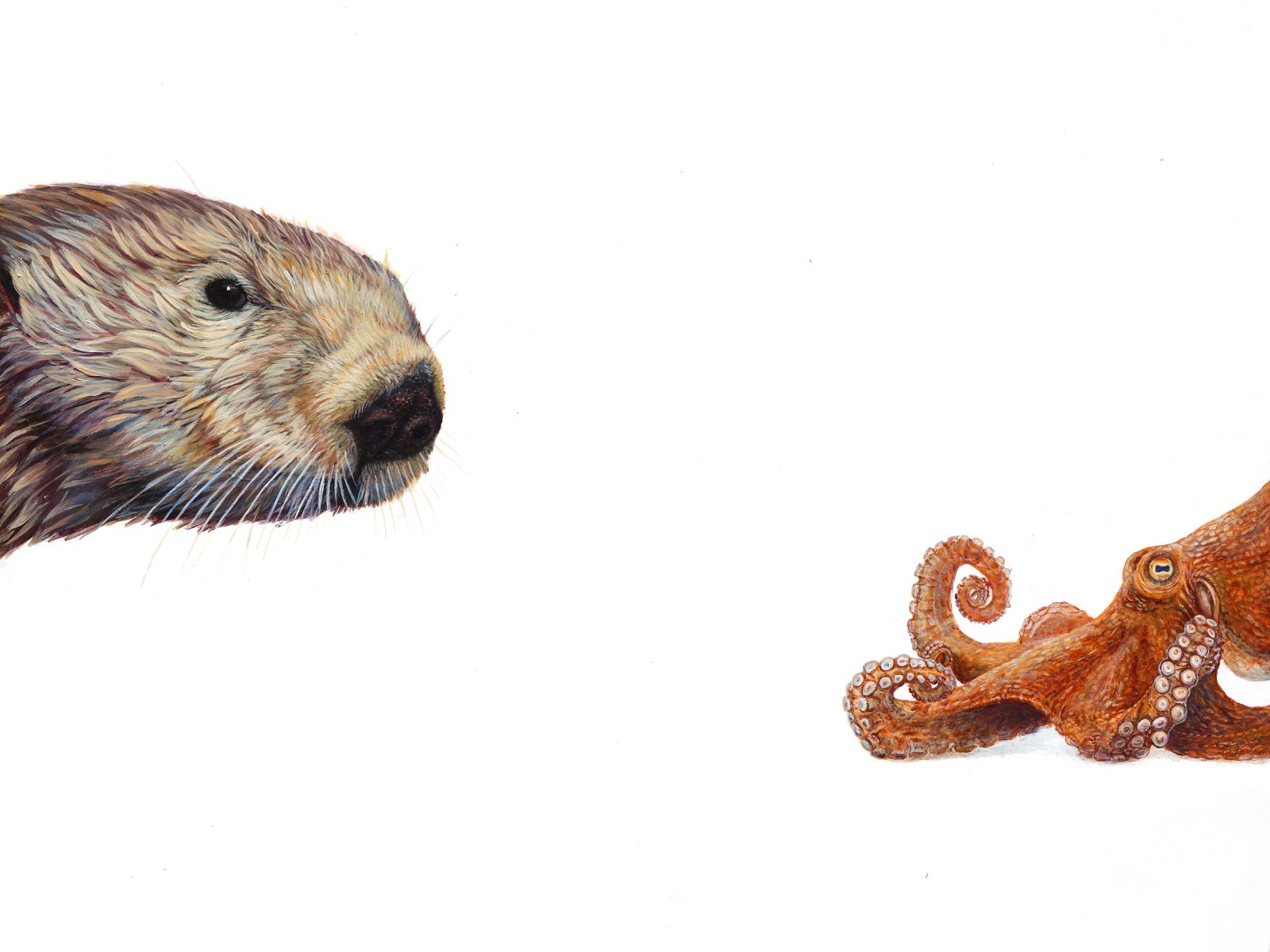 Top Predator: Otter & Octopus by Hazel Mountford