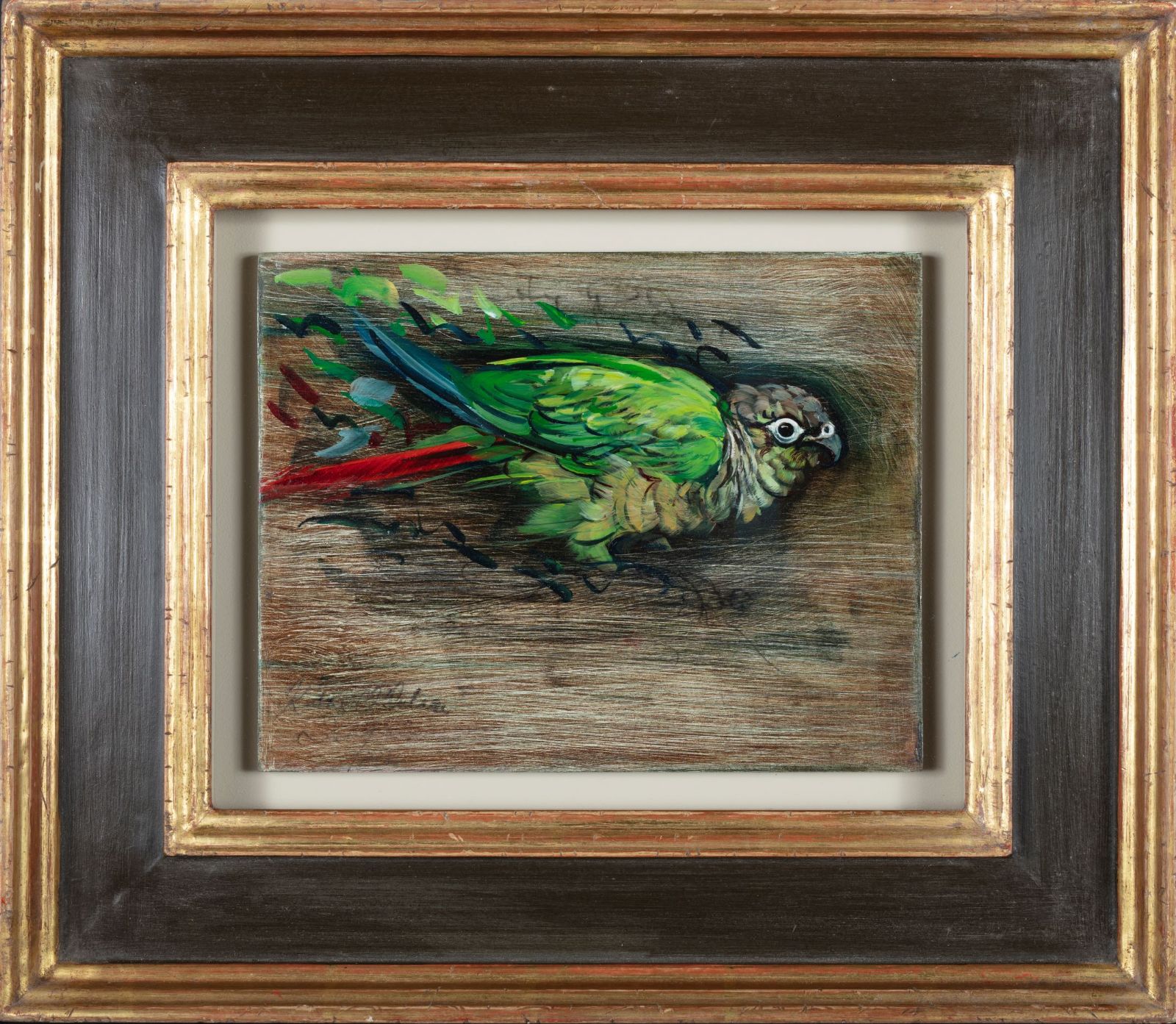 Parrot Study II (Conure)  by Katie O’Sullivan