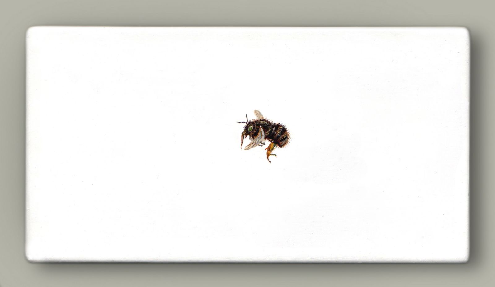 One Bee Left : Potter Flower Bee by Hazel Mountford