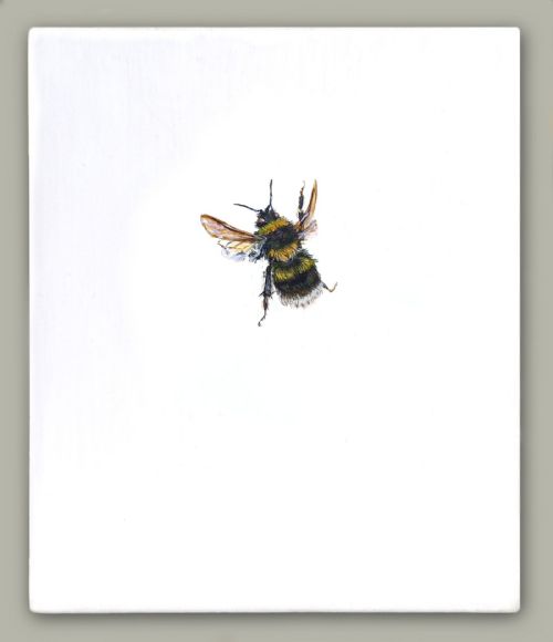 One Bee Left: Ruderal Bumblebee by Hazel Mountford