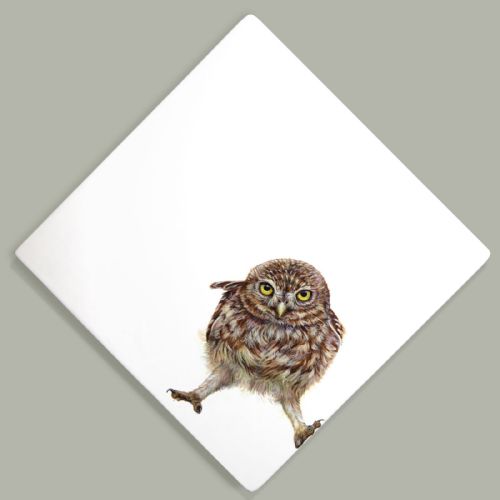 Hazel Mountford - Stretching (Little Owl)