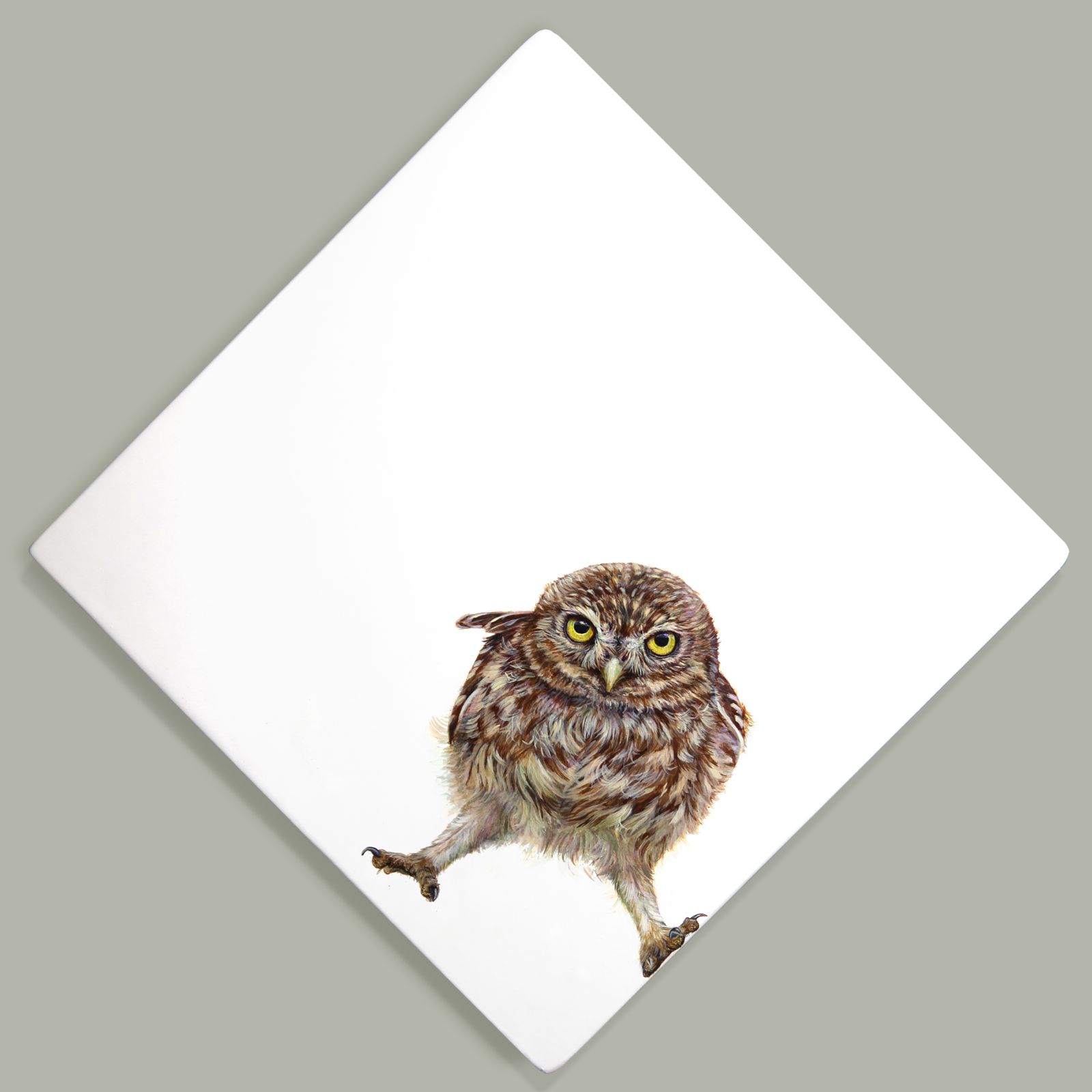Stretching (Little Owl) by Hazel Mountford