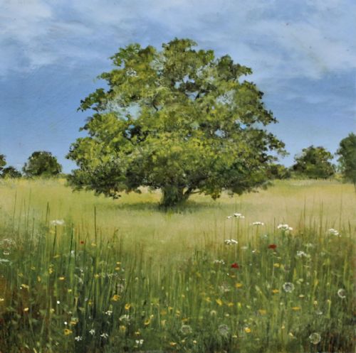 Garry Pereira - The Ancient Oak in Wild Poppy Field