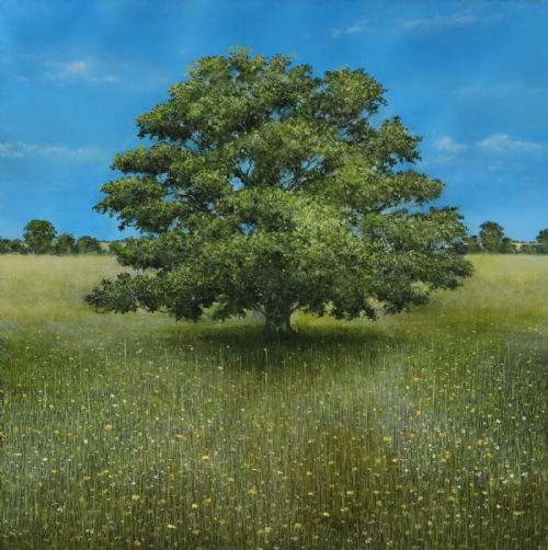 Garry Pereira - The Wise Oak Protecting Buttercups