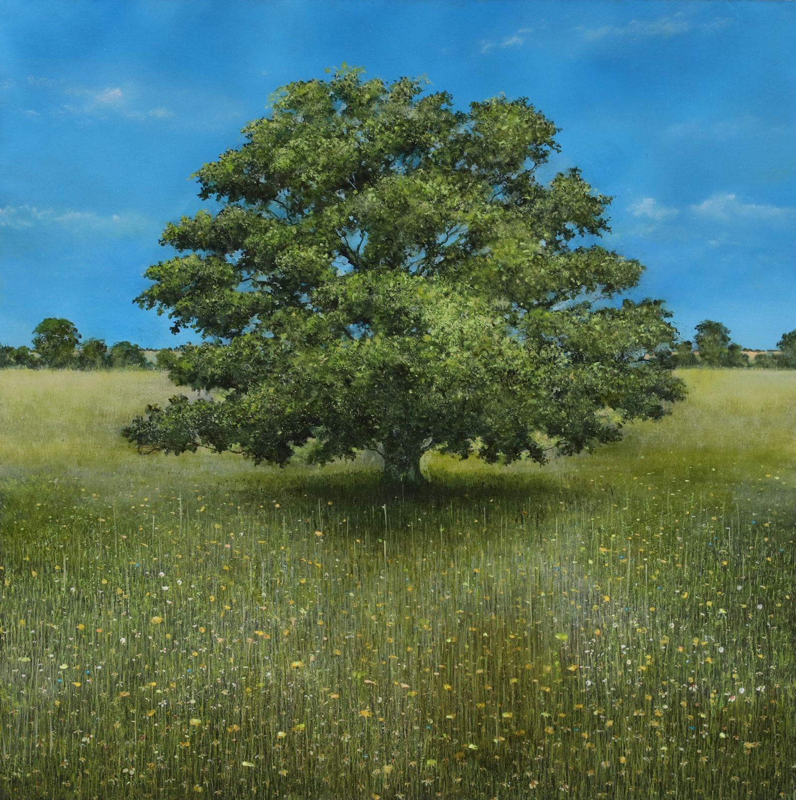  - The Wise Oak Protecting Buttercups