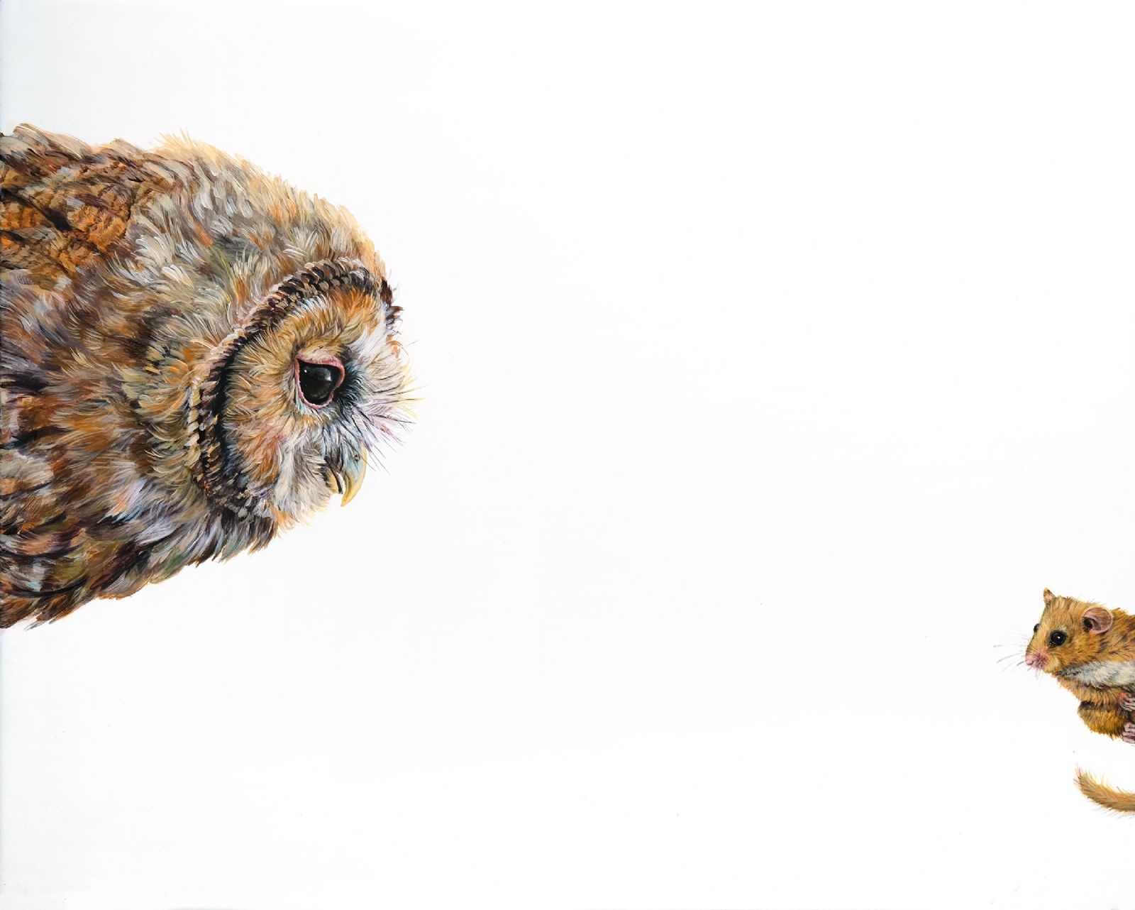 Top Predator : Owl & Dormouse by Hazel Mountford